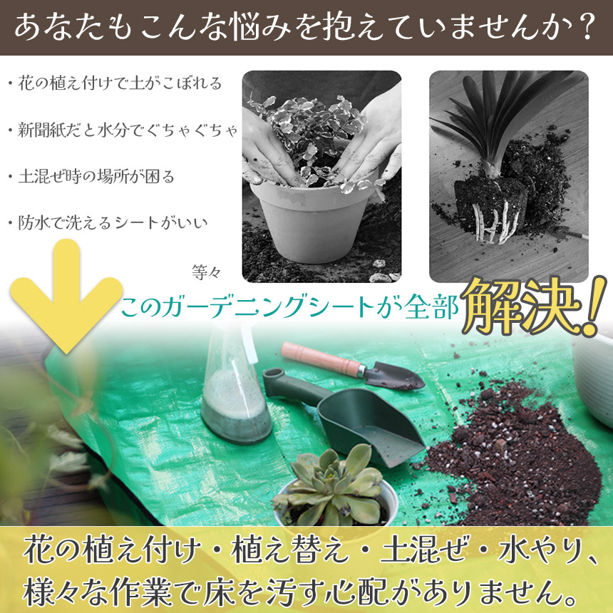 まりも様ピローシート、グリーン 楽天市場】【店内最大20%OFFクーポン】【楽天1位】防水 園芸シート