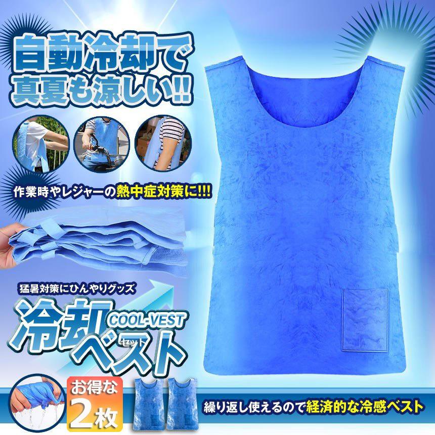 冷却ベスト 水冷 クールベスト 冷感ベスト 2枚セット 空調服 物理