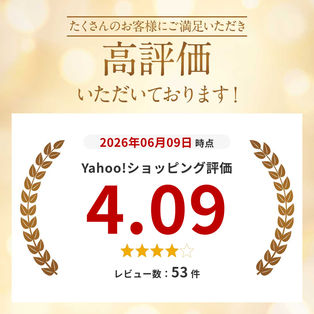 フロントガラス リペアキット 傷 ひび割れ補修 小さな損傷飛び石 修復 飛び石 傷 修理 穴埋め 固定補修 日本語取説付き 送料無料 関連画像1