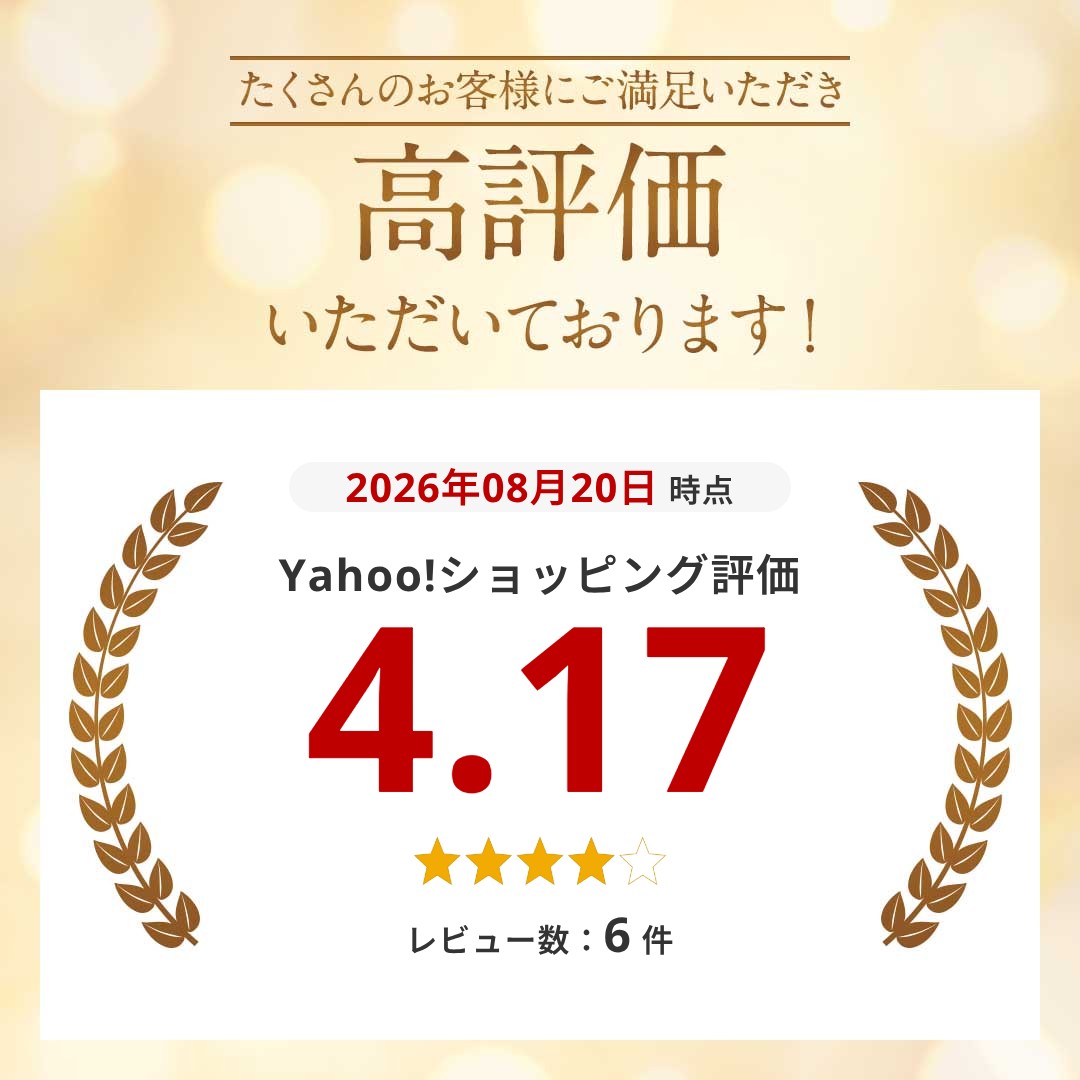 ヘルメットインナー ヘルメット 2枚セット 吸...の詳細画像1