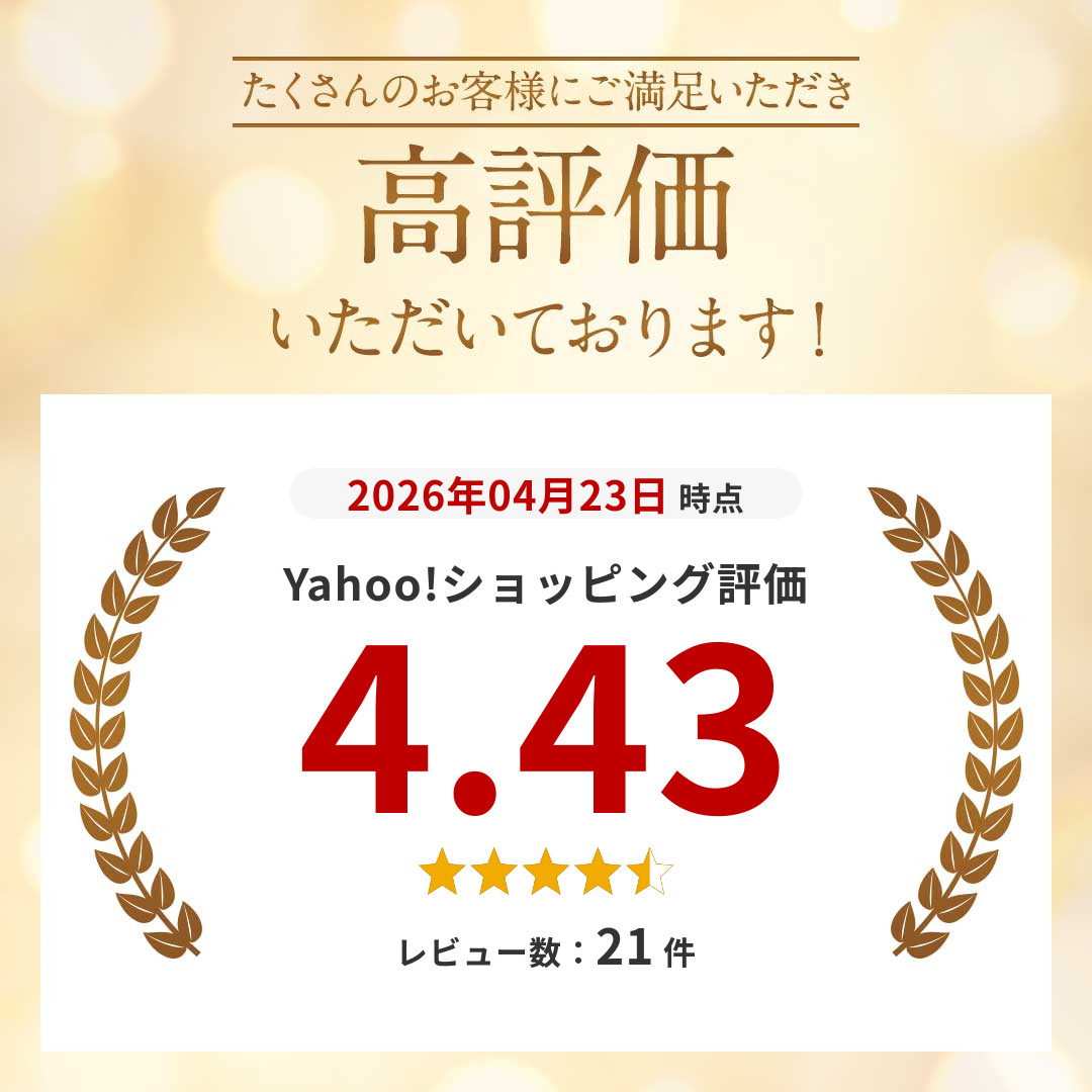 ポケットラジオ ラジオ FM AM USB充電...の詳細画像1