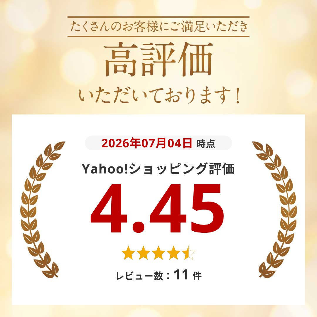 チェストストラップ 後付け チェストベルト リ...の詳細画像1