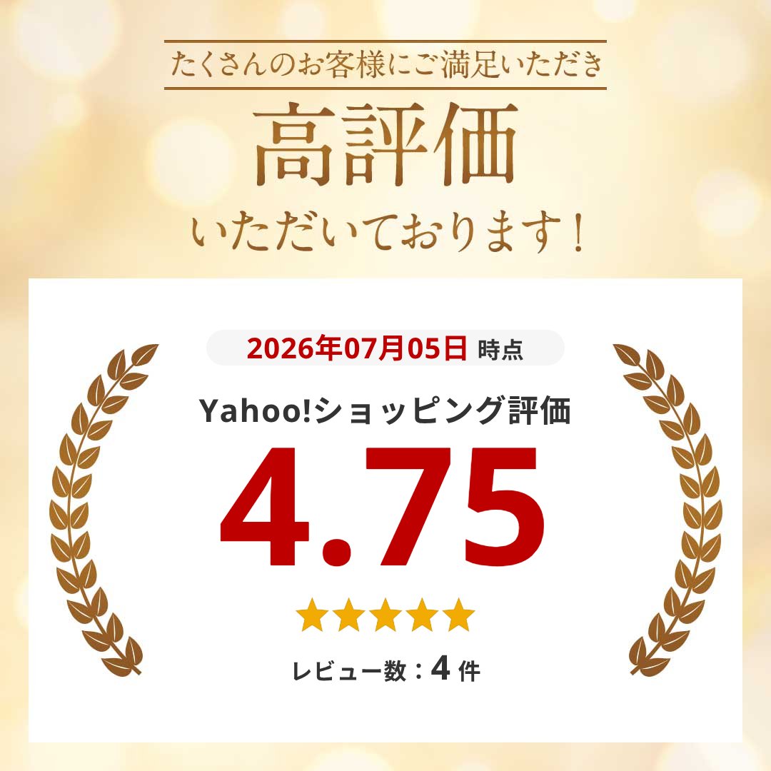 折りたたみチェア パイプ椅子 折り畳み椅子 コ...の詳細画像1