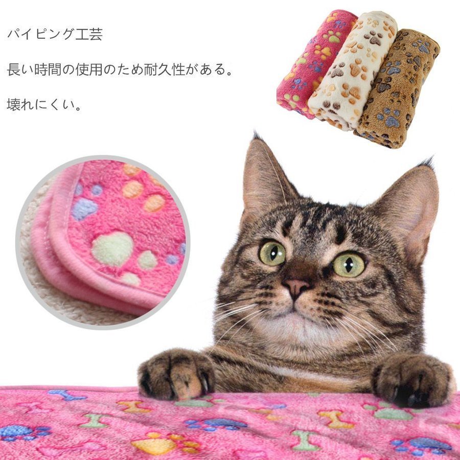 Francfranc - SOREMO アート ぶち猫 ソフトブランケット アクセント ブラウン 毛布 SOREMO アート ぶち猫 ソフトブランケット アクセント ブラウン