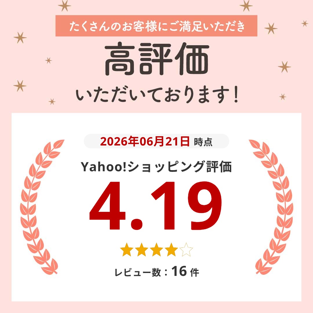 ワイヤレスマイク 2.4G 無線マイク ヘッド...の詳細画像1