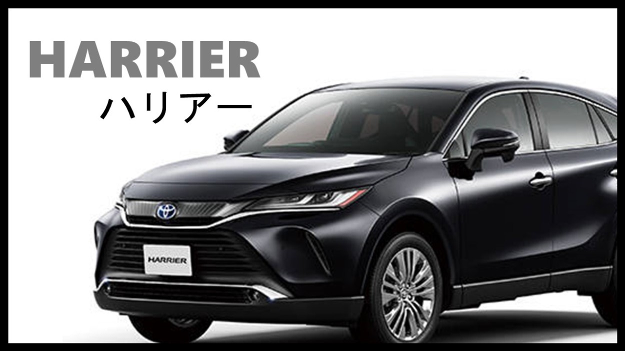 未来志向 - Yahoo!ショッピング