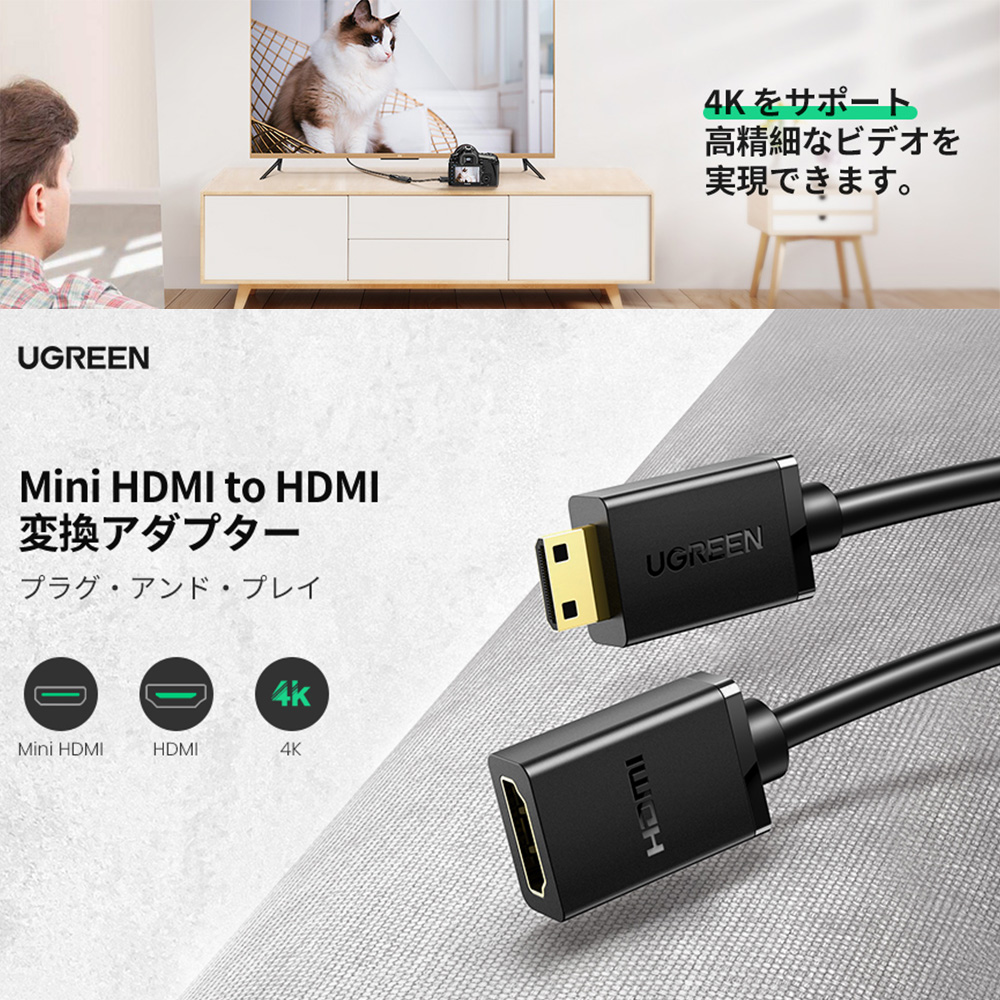 UGREEN mini hdmi to hdmi 変換アダプター hdmi ケーブル ハイスピード ミニ Mini オスメス 延長 中継 4K 3D  Raspberry Pi Zero W ホームビデオカメラー Sony, N