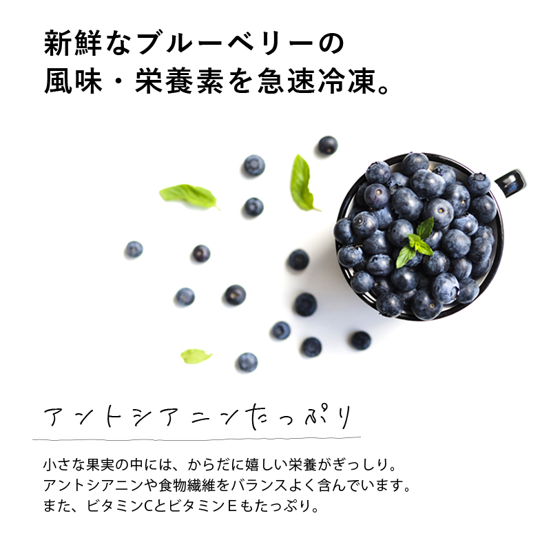 爆買 国産 冷凍ブルーベリー 約1kg × 3袋 合計 3kg ブルーベリー