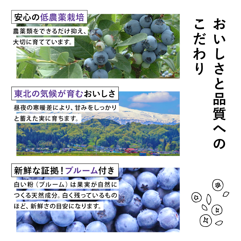 国産ブルーベリーのおいしさとこだわりブルームについて