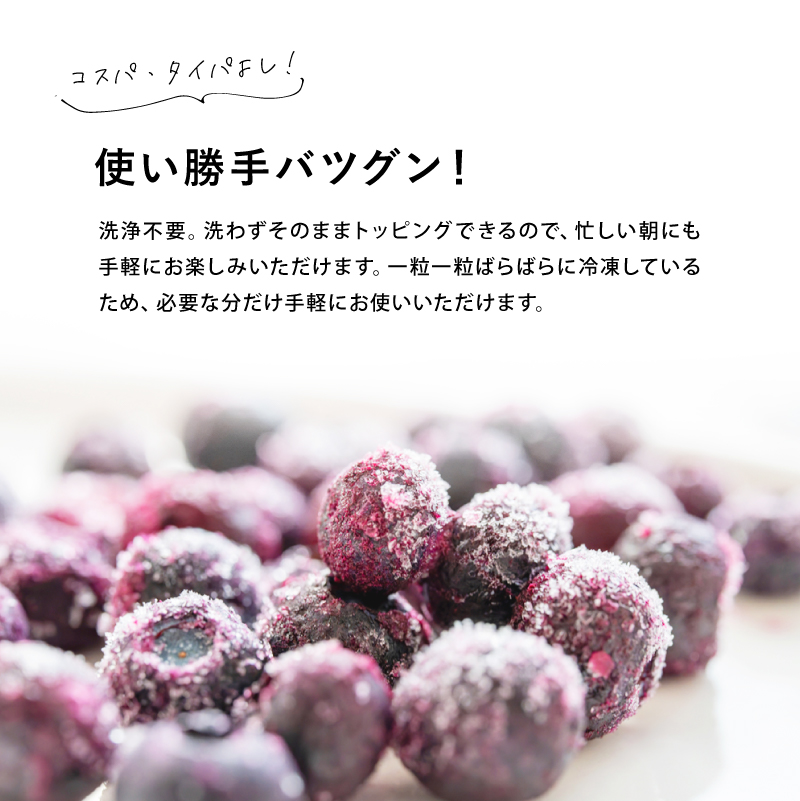 爆買 国産 冷凍ブルーベリー 約1kg × 3袋 合計 3kg ブルーベリー