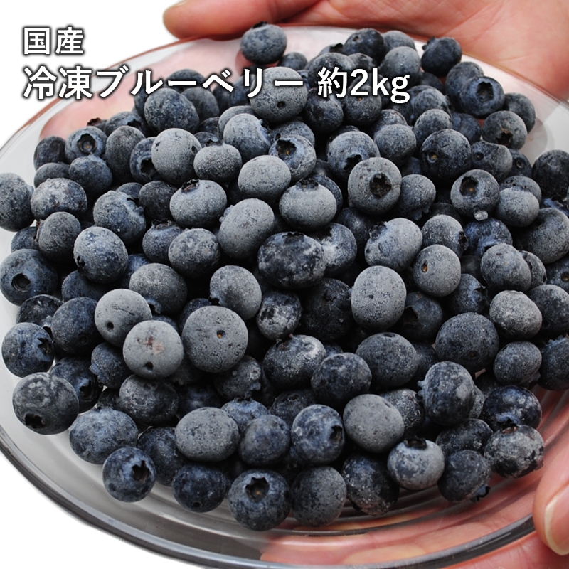 爆買】国産 冷凍ブルーベリー 約1kg × 2袋 合計 2kg ブルーベリー