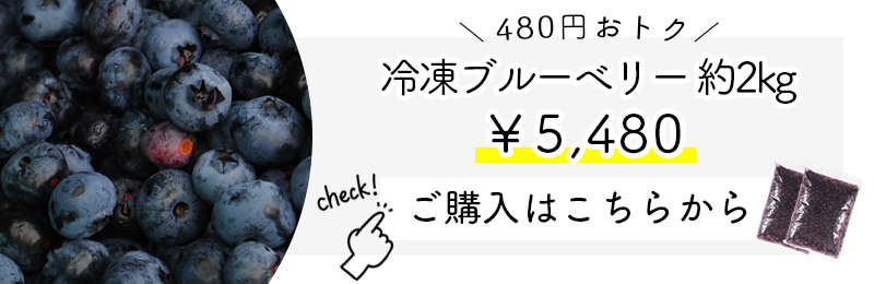 ブルーベリー　約3キロ　冷凍　まとめ売り 楽天市場】冷凍 ブルーベリー 3kgの通販