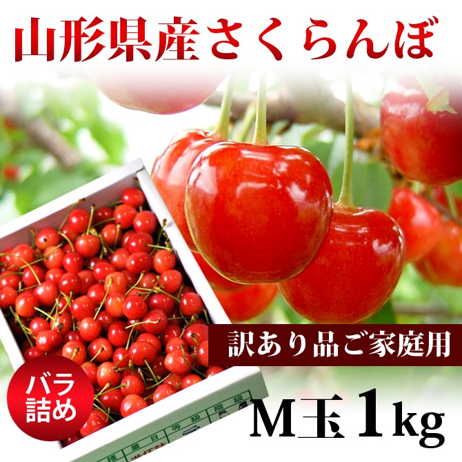 【★たまぷーさま】まとめ売り 2023年大田市場の初競りにて、青果の老舗仲卸「船昌」が山形県産