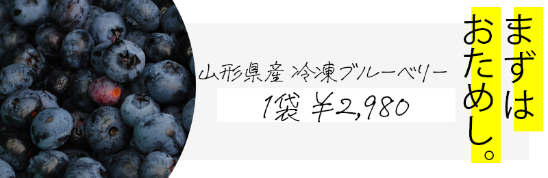 送料無料 国産冷凍ブルーベリー 約1kg 山形県産 ブルーベリー フルーツ