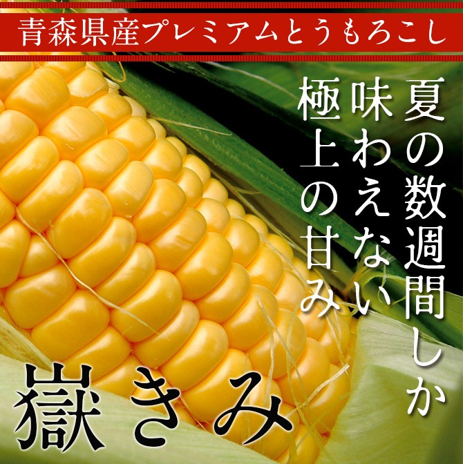 嶽きみ 青森県産とうもろこし 12本セット まるで果物のような甘