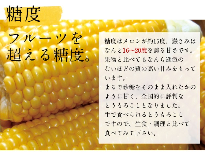 嶽きみ 青森県産とうもろこし 12本セット まるで果物のような甘さ だけきみ トウモロコシ コーン お中元 ギフト のし 青森産[同梱不可]