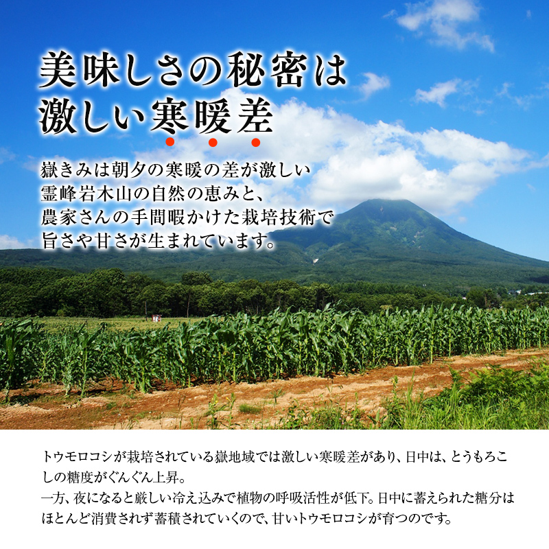 青森県産 とうもろこし 嶽きみ 24本セット ...の詳細画像2