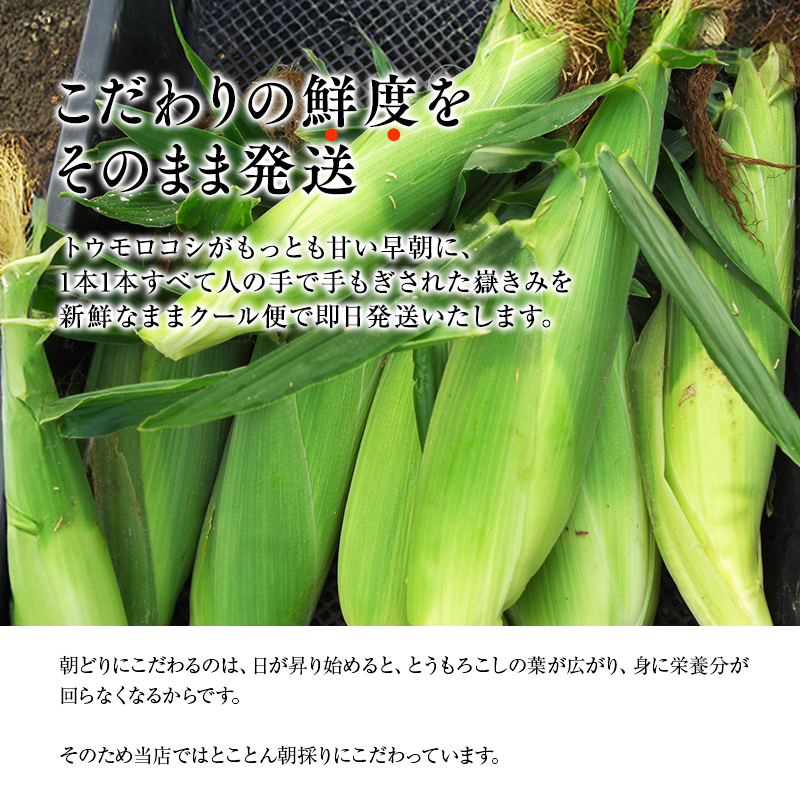 青森県産 とうもろこし 嶽きみ 24本セット ...の詳細画像4