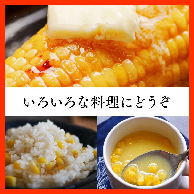 青森県産 とうもろこし 嶽きみ 24本セット ...の詳細画像5