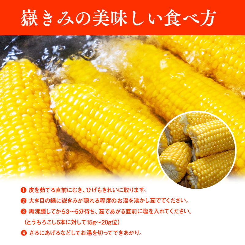 嶽きみ07