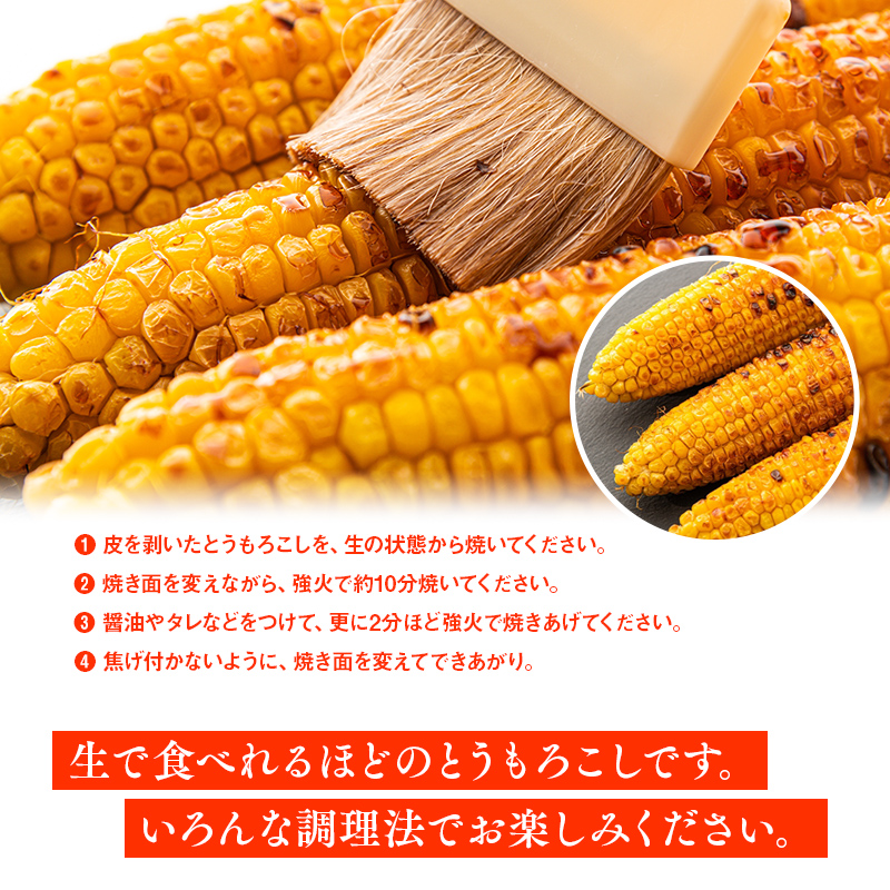 嶽きみ08