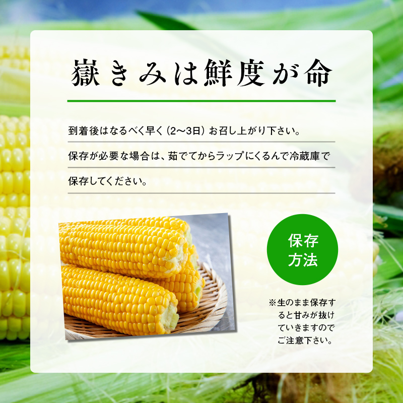 ◆限定1個◆高品質竜亀玉石彫刻 とうもろこし　コレクション 送料無料　本物保証 青森県産とうもろこし 嶽きみ 12本セット まるで果物のような甘