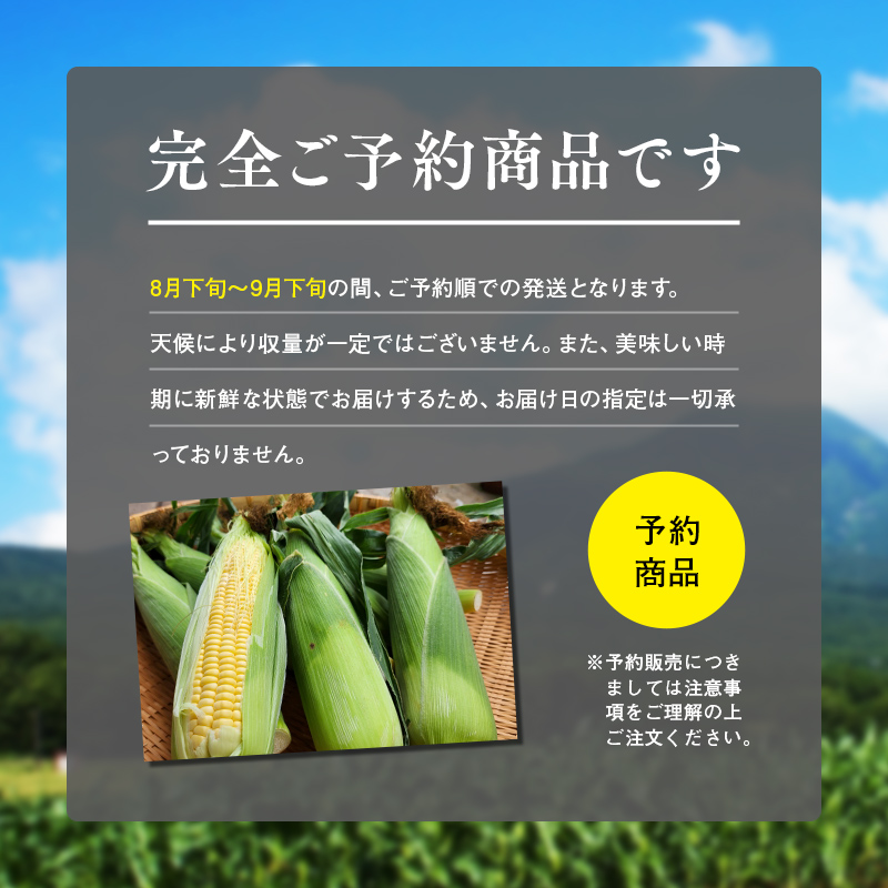 嶽きみ10
