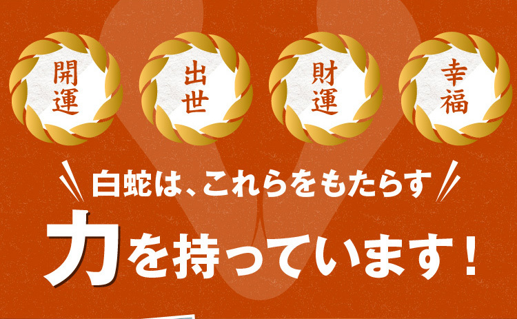 白蛇 【腹】 抜け殻 祈願 ご利益 １個 縁起物 財布 金運アップ 開運 風水 縁起物 本物 脱殻 商売繁盛 厄除け 宝くじ 財運 お金 100万円  紙幣 御守り お守り :2020051915:福招き専門店 - 通販 - Yahoo!ショッピング