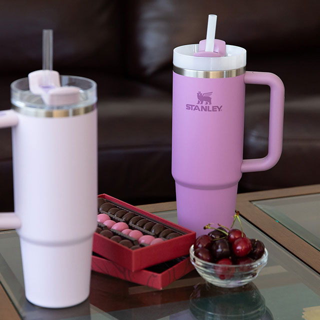 STANLEY（スタンレー） タンブラー H2.0 真空クエンチャー 0.88L 10