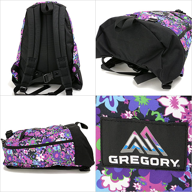 GREGORY グレゴリー リュック ファインデイ 137539A589 SS25 18L