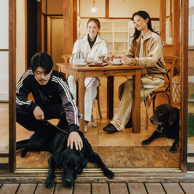 アディダス オリジナルス adidas Originals ファイヤーバード ベロア トラックトップ [LC8070 ZQ134 FW26SPOT] 光沢 高級感 トレンド ブラック 正規取扱店 | adidas Originals | 08