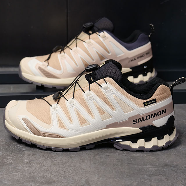 SALOMON サロモン エックスエープロ 3D V9 ゴアテックス