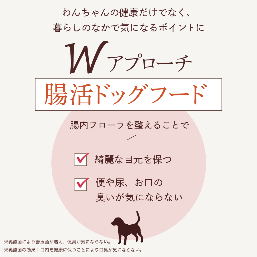 ドッグフード 国産 無添加 成犬用 鶏肉 馬肉 全年齢 グルテンフリー 関節 涙やけ 毛並み  緑イ貝 ミシュワン mishone 獣医師監修 公式 1kg×2個 | MISHONE | 11
