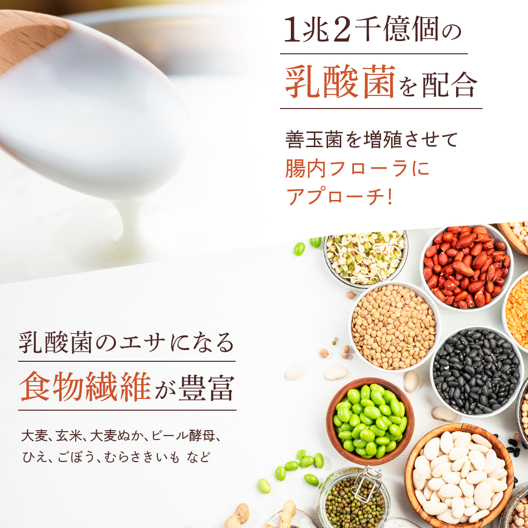 MISHONE ドッグフード お試し 国産 無添加 成犬用 鶏肉 馬肉 全 MISHONE ドッグフード お試し 国産 無添加 成犬用 鶏肉 馬肉 全