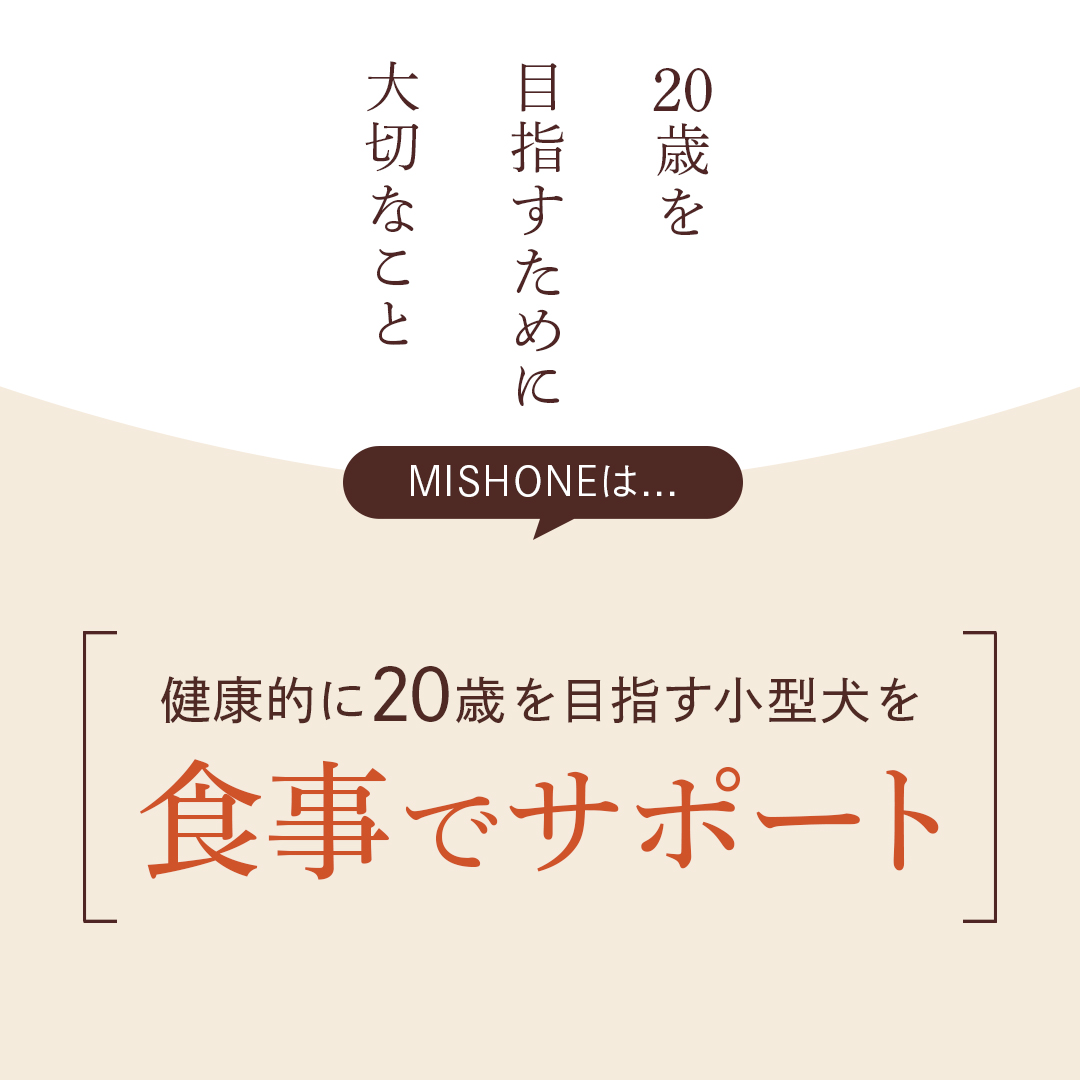 ドッグフード 国産 無添加 成犬用 鶏肉 馬肉 全年齢 グルテンフリー 関節 涙やけ 毛並み  緑イ貝 ミシュワン mishone 獣医師監修 公式 1kg×2個 | MISHONE | 07