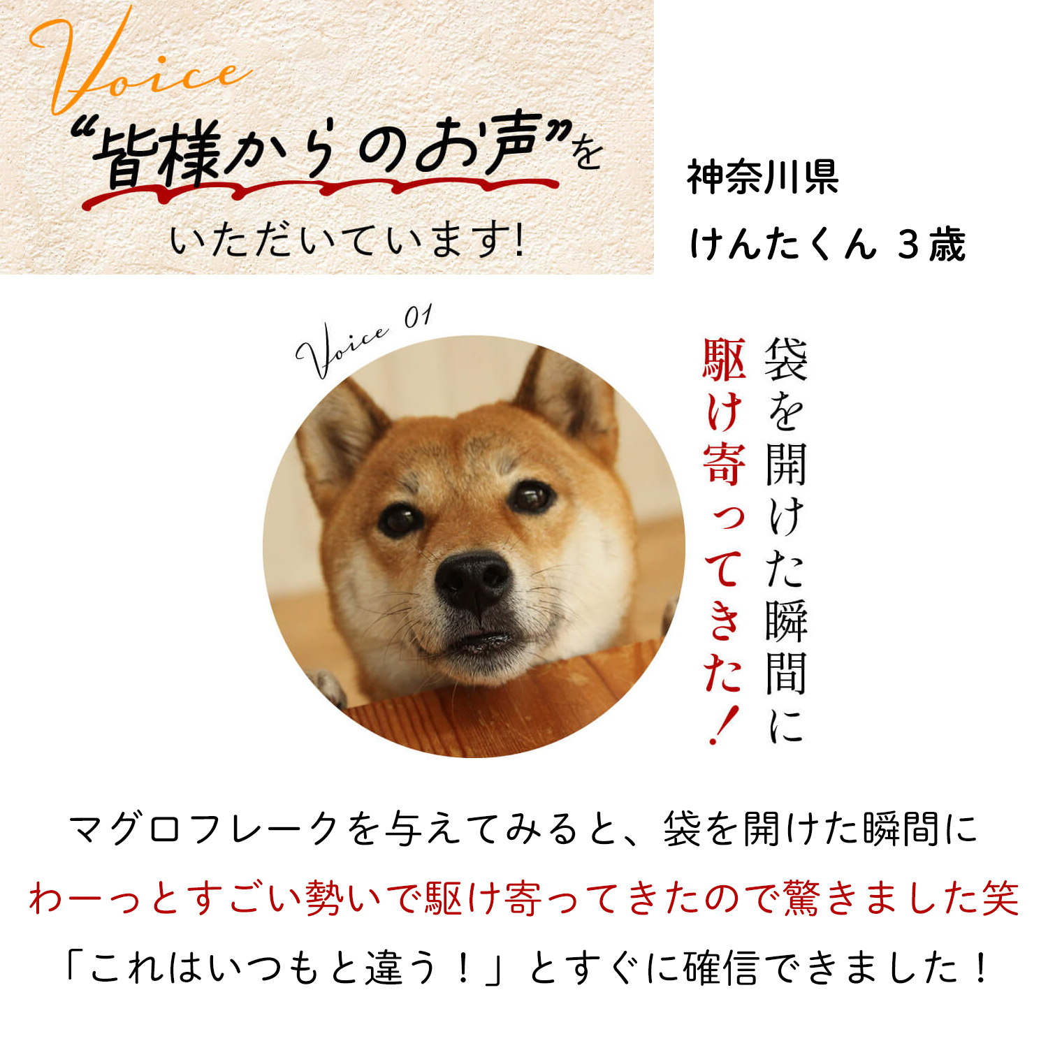 MISHONE（ミシュワン） フレッシュマグロ 2個セット まぐろ ウェット