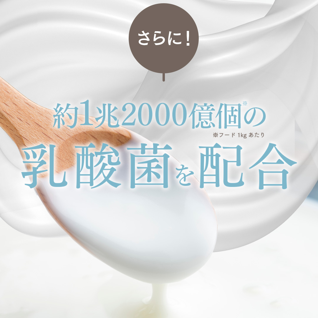 MISHONE（ミシュワン） ドッグフード 国産 無添加 成犬用 マグロ タラ