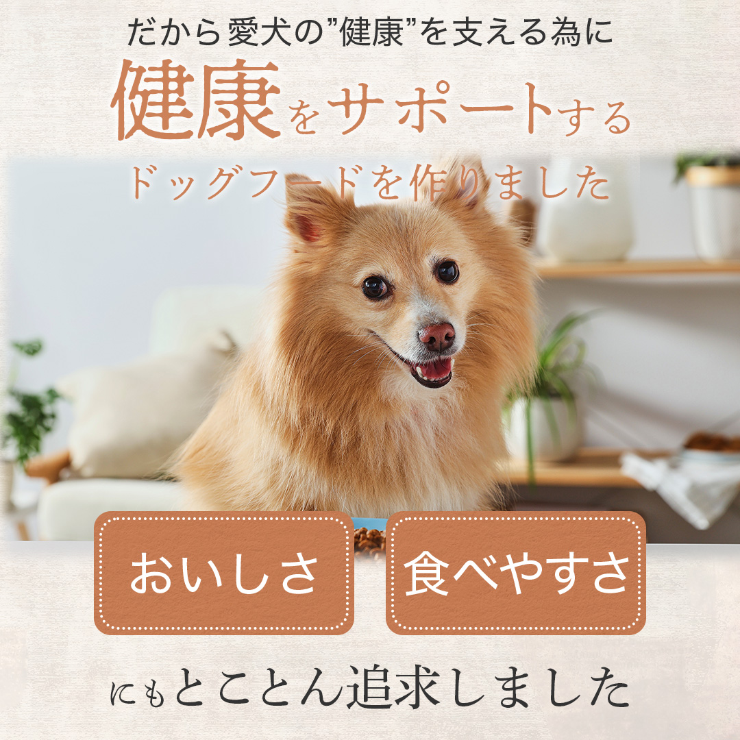 ミシュワン 小型犬２袋 41YieLpEaxL.jpg_BO30,255,255,