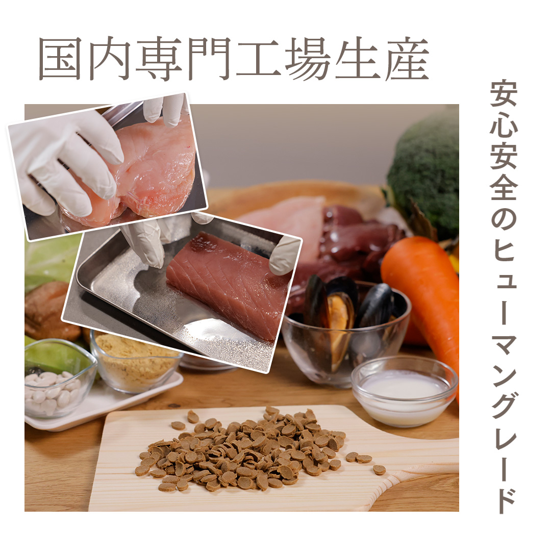 MISHONE ドッグフード 国産 無添加 シニア犬用 鶏肉 馬肉 MISHONE ドッグフード 国産 無添加 シニア犬用 鶏肉 馬肉