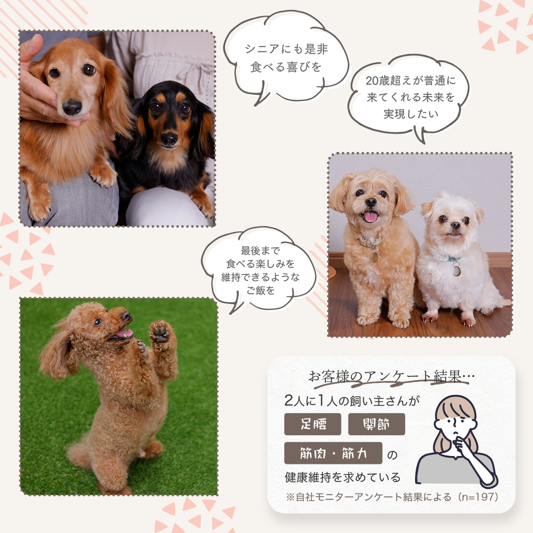 ミシュワン 小型犬２袋 41YieLpEaxL.jpg_BO30,255,255,