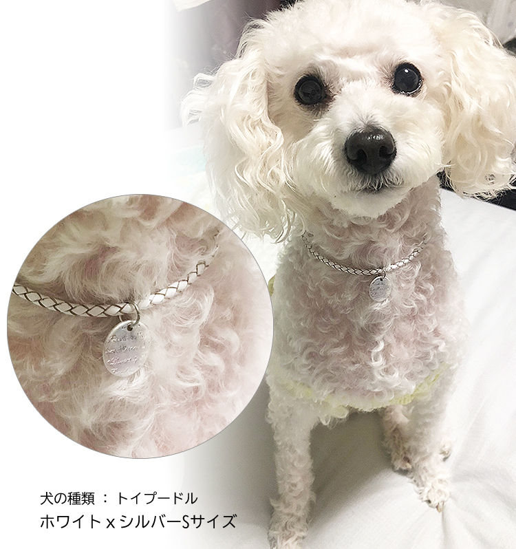 犬 首輪 おしゃれ 中型犬 小型犬 本革 かわいい 犬首輪 犬の首輪 猫用