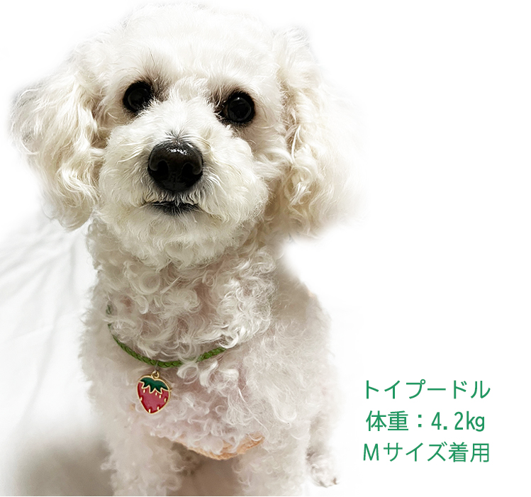 オーダーメイド 首輪 犬 おしゃれ 中型犬 小型犬 本革 かわいい