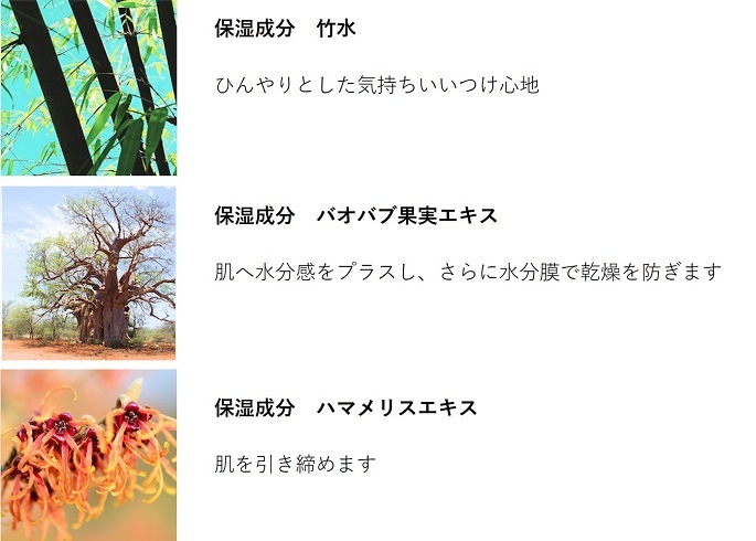 ミシャMクッションファンデーション（マット）