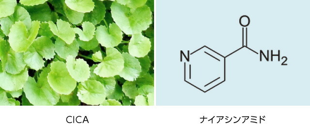 ネオカバー 肌ダメージケア成分