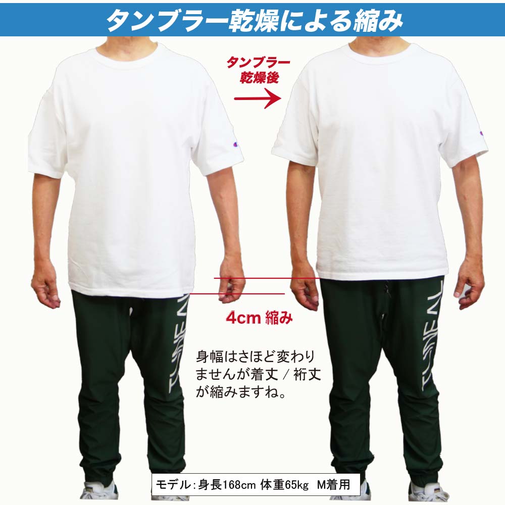 チャンピオンTシャツ