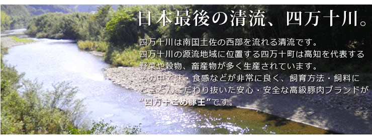 日本最後の清流、四万十川