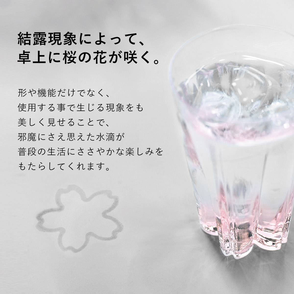 さくらさく ペアグラス [Pilsner] Clear/Sakura ビアグラス 100% 100PERCENT（ヒャクパーセント）の画像