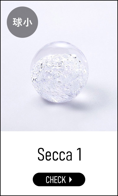 100percent（ヒャクパーセント） Secca セッカ 雪花 [ Secca 3