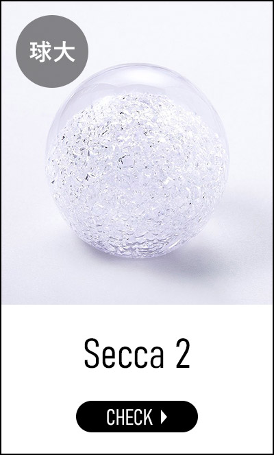 100percent（ヒャクパーセント） Secca セッカ 雪花 [ Secca 3