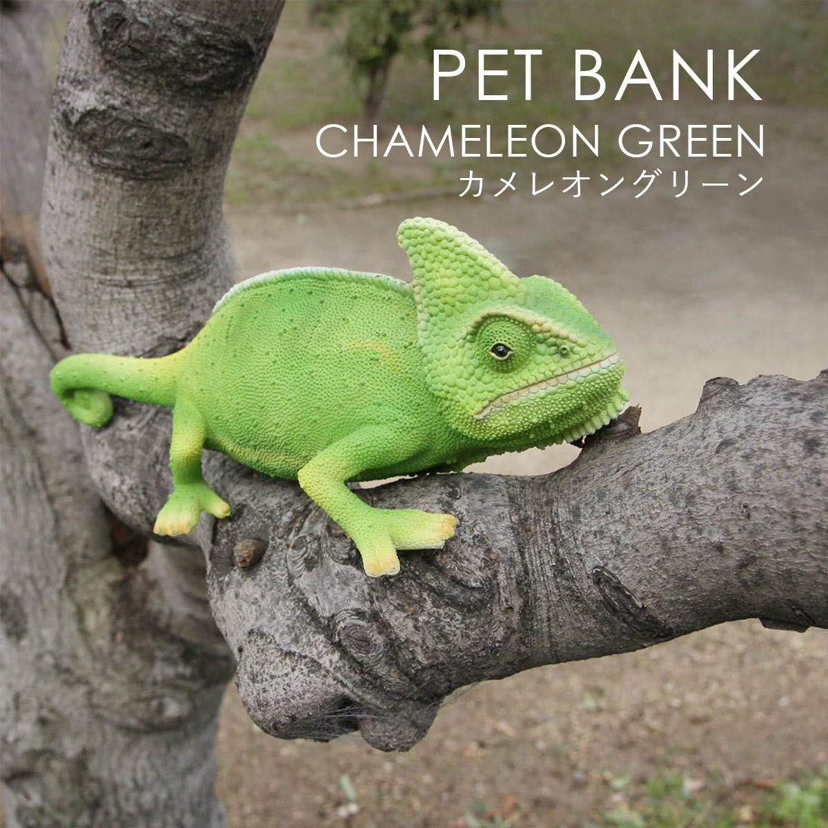 PET BANK �y�b�g�o���N CHAMELEON GREEN �J�����I���O���[�� �I�u�W�F ������ magnet �}�O�l�b�g